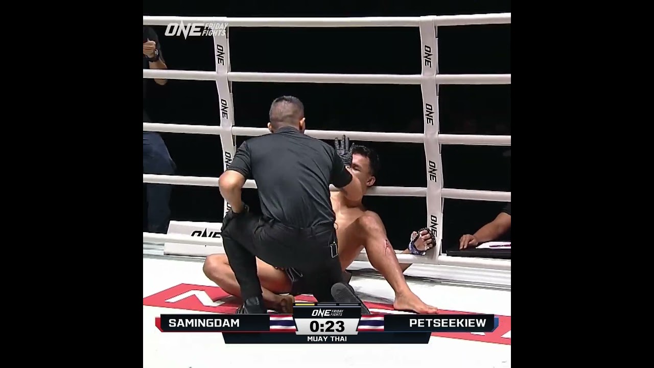 GOOD NIGHT  Samingdam puts Petseekiew to SLEEP in Round 1! #ONEFridayFights67